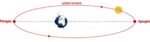 L’orbite de la Lune ne décrit pas un cercle parfait autour de la Terre, mais une ellipse. La distance Terre-Lune varie donc considérablement : la Lune peut se situer exactement entre 356 400 km au plus près de la Terre (périgée) et 406 700 km au plus loin de la Terre (apogée).