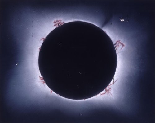 Éclipse totale du Soleil du 29 juillet 1878 par Trouvelot, Étienne Léopold (1827-1895). 