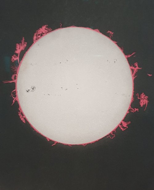 The Sun par Etienne-Léopold Trouvelot